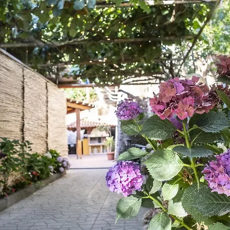 La Natura X6 With Garden And Free Private Parking Βίλα *