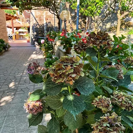 Βίλα La Natura X6 With Garden And Free Private Parking *