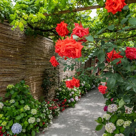 La Natura X6 With Garden And Free Private Parking Villa Sorrente