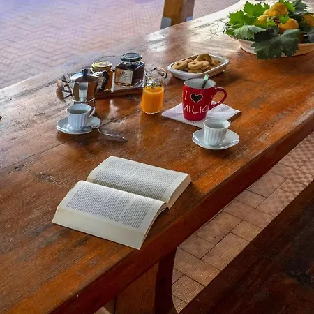 La Natura X6 With Garden And Free Private Parking Sorrento