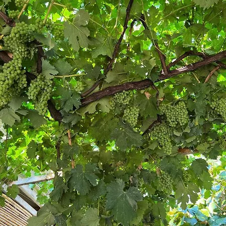 Villa La Natura X6 With Garden And Free Private Parking *