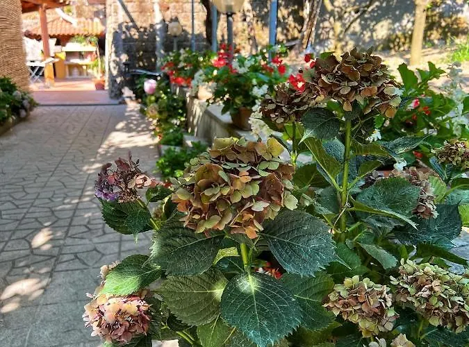 Villa La Natura X6 With Garden And Free Private Parking *