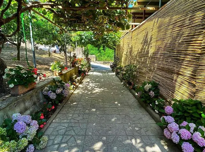 La Natura X6 With Garden And Free Private Parking Sorrento