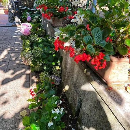 La Natura X6 With Garden And Free Private Parking