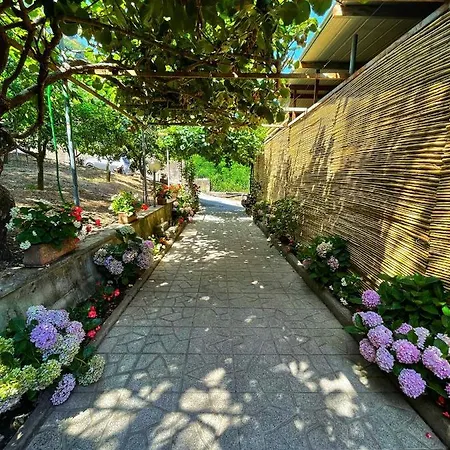 La Natura X6 With Garden And Free Private Parking Σορέντο
