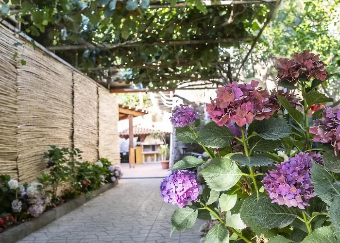 La Natura X6 With Garden And Free Private Parking Villa *