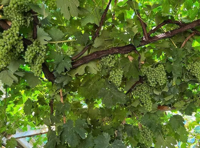 Villa La Natura X6 With Garden And Free Private Parking *