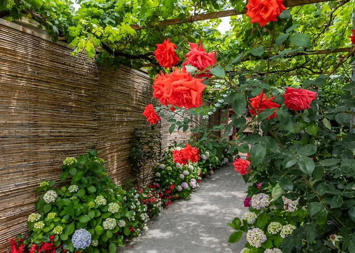 La Natura X6 With Garden And Free Private Parking Villa Sorrento